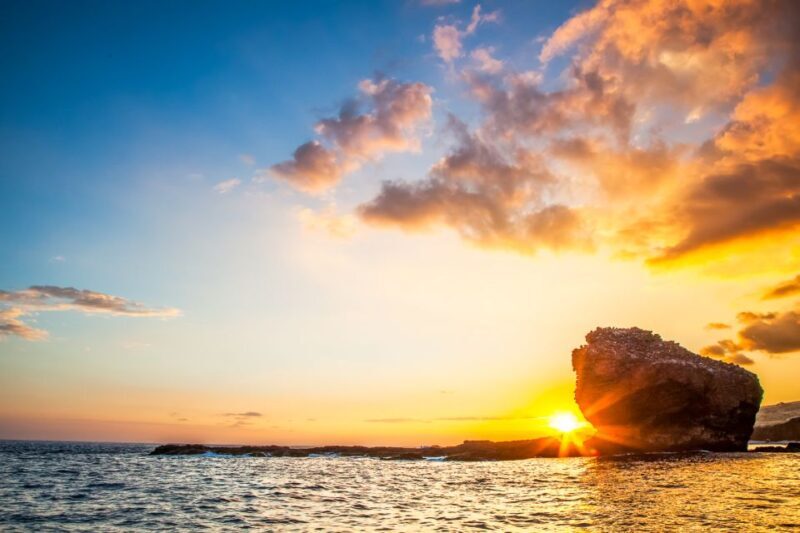 From Ma'alaea: AM Turtle Town Snorkel Aboard Quicksilver - Final Thoughts on Value and Suitability