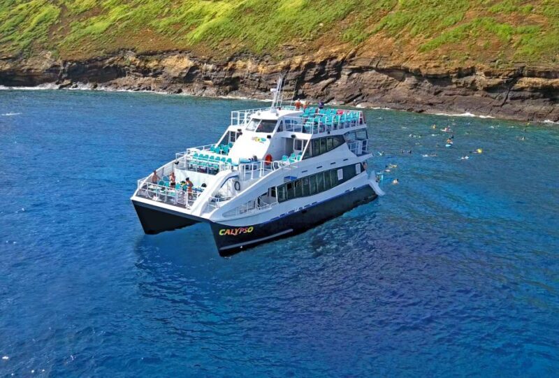 From Ma'alaea: Thanksgiving Dinner Cruise Aboard the Calypso - Final Thoughts