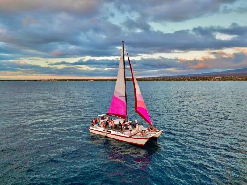 From Maalaea: Whale Watching Catamaran Cruise with Drinks - Final Thoughts