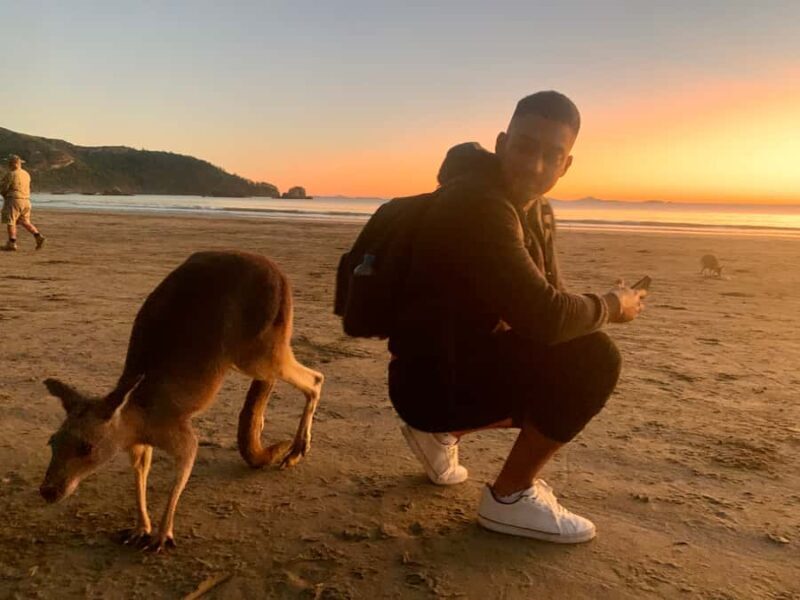 From Mackay: Wallabies on the Beach Sunrise Trip - Discovering Cape Hillsborough: Why It’s Special