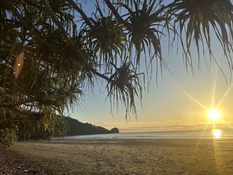 From Mackay: Wallabies on the Beach Sunrise Trip - Practical Details: Timing, Cost, and Accessibility
