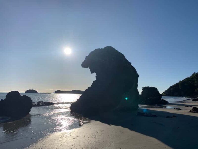 From Mackay: Wallabies on the Beach Sunrise Trip - What the Reviews Say