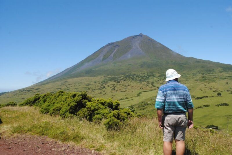 From Madalena: Pico Volcanoes and Lakes Guided Day Tour - Analyzing the Value