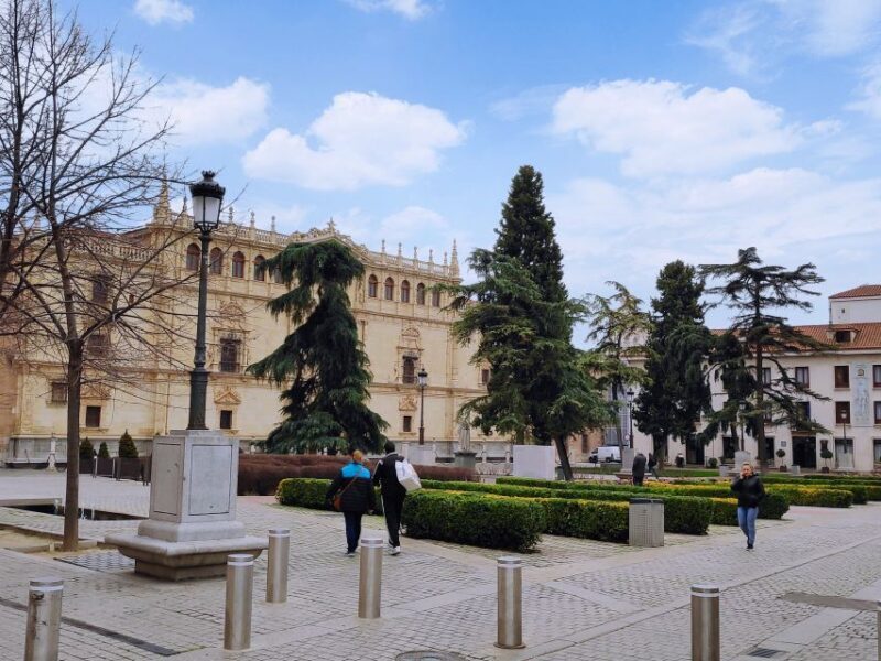 From Madrid: Alcalá de Henares & Cervantes Museum Day Trip - Final Thoughts: Who Will Love This Tour?