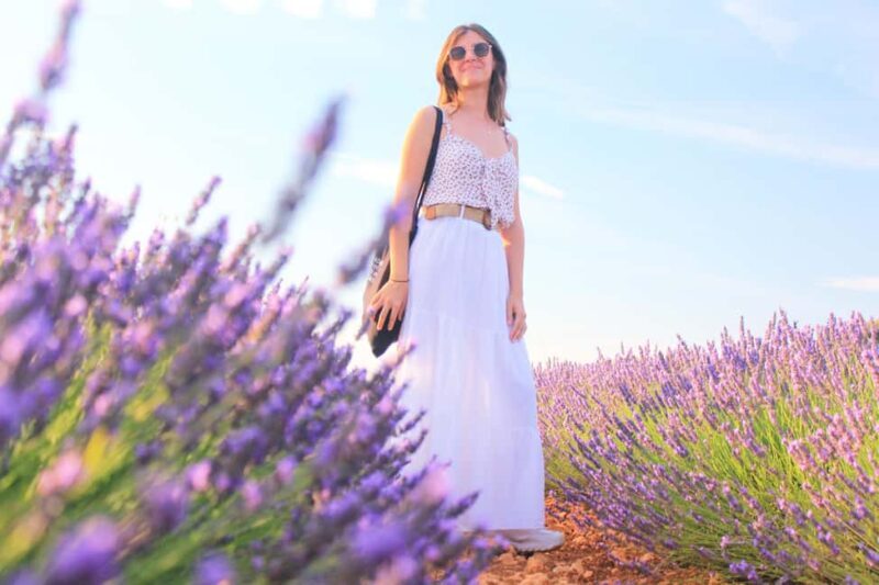 From Madrid: Day Trip to Brihuega Lavender Fields - Key Points