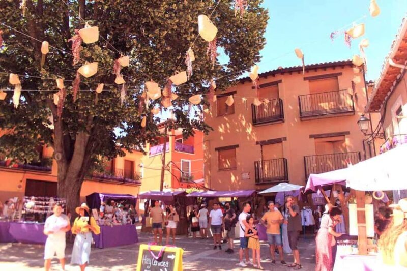 From Madrid: Day Trip to Brihuega Lavender Fields - Is This Tour Worth It?