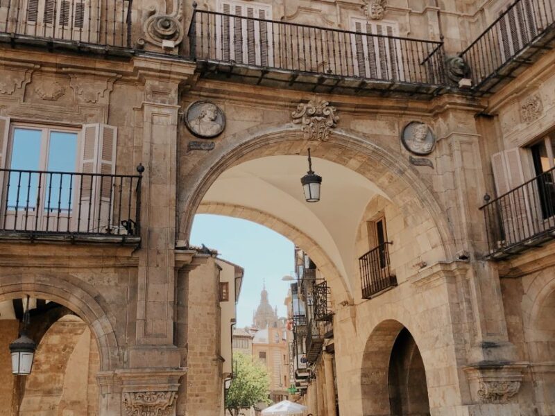 From Madrid: Day Trip to Salamanca with Private Tour - Exploring the Day Trip to Salamanca: What You Can Expect