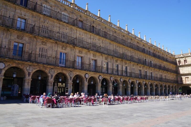 From Madrid: Day Trip to Salamanca with Private Tour - Who Should Book This Tour?
