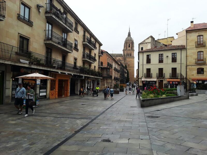 From Madrid: Day Trip to Salamanca with Private Tour - FAQ