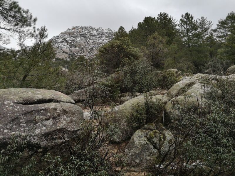 From Madrid: Guadarrama National Park Private Tour - FAQs