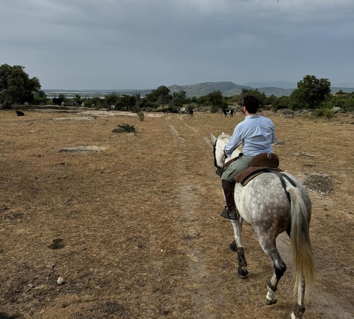 From Madrid: Horseback riding Experience - Key Points