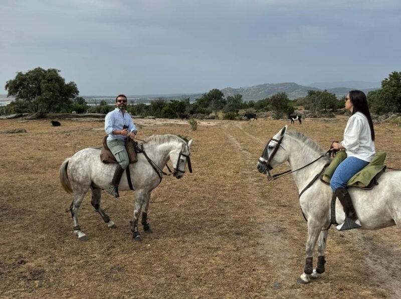 From Madrid: Horseback riding Experience - Practical Insights & Tips for Booking