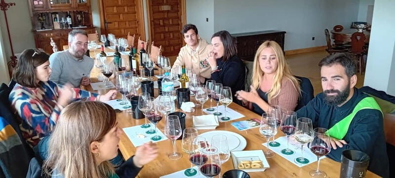 From Madrid: Ribera del Duero Wine Tour with Local Lunch - Introduction: Exploring Ribera del Duero Without the Hassle