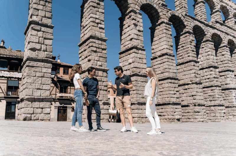 From Madrid: Ribera del Duero Winery and Segovia Tour - Who Will Love This Tour?