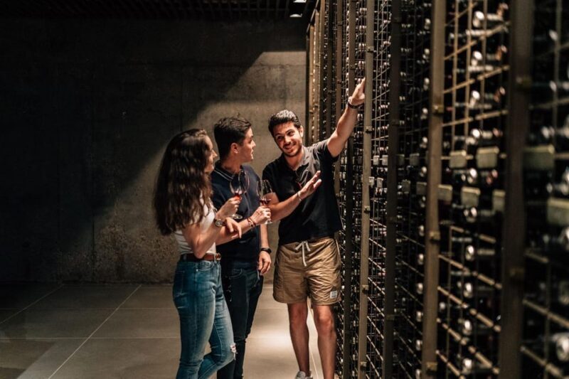 From Madrid: Ribera del Duero Winery and Segovia Tour - Final Thoughts