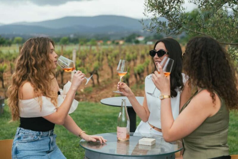 From Makarska Riviera : Wine Tasting Grabovac Tour - Why This Tour Offers Great Value