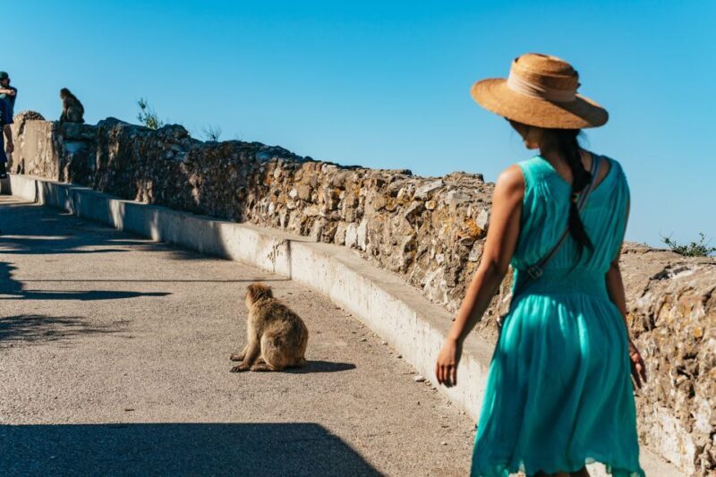 From Malaga and Costa del Sol: Gibraltar Tour - The Experience in Detail