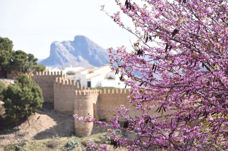 From Malaga: Antequera Heritage and Oil Mill land - A Deep Dive into the Tour Experience