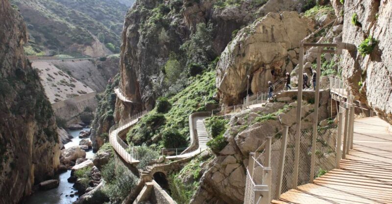 From Malaga: Caminito del Rey and Lake Swimming Private Tour - An In-Depth Look at the Caminito del Rey Private Tour
