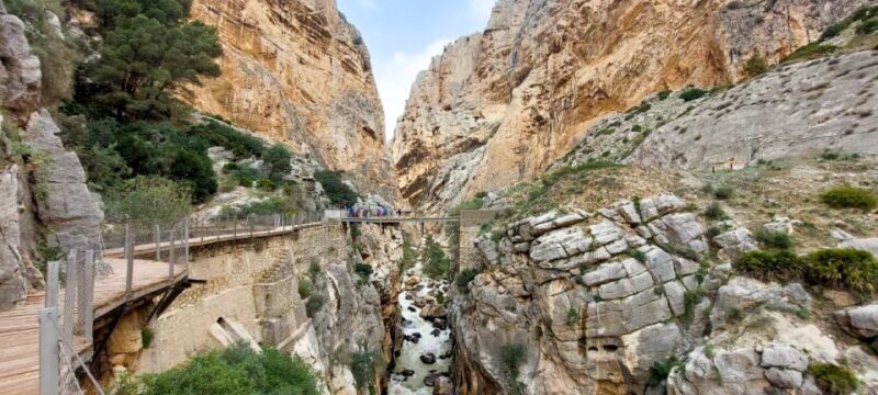 From Málaga: Caminito del Rey Guided Day Trip - A Deep Dive into the Caminito del Rey Guided Day Trip