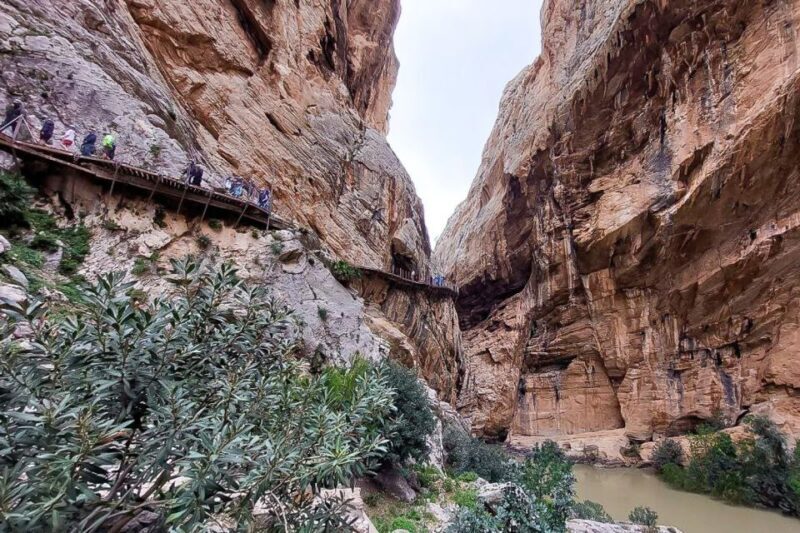 From Málaga: Caminito del Rey Guided Day Trip - The Experiences and Reviews