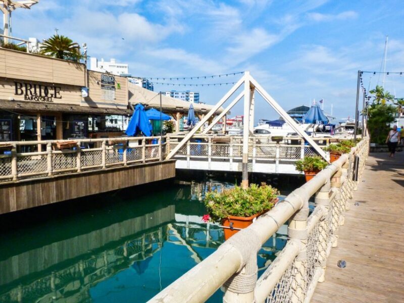 From Malaga: Day trip to Gibraltar and Dolphin Boat Tour - The Dolphin Boat Tour: A Highlight of the Day