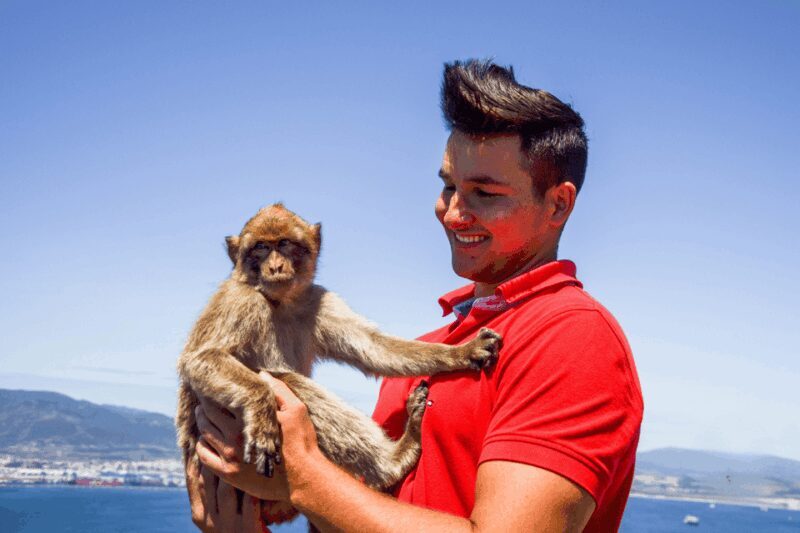 From Malaga: Full-Day Trip to Gibraltar - Exploring Gibraltar: What to Expect