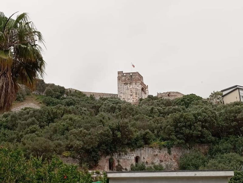 From Málaga: Gibraltar Day Trip - The Sum Up