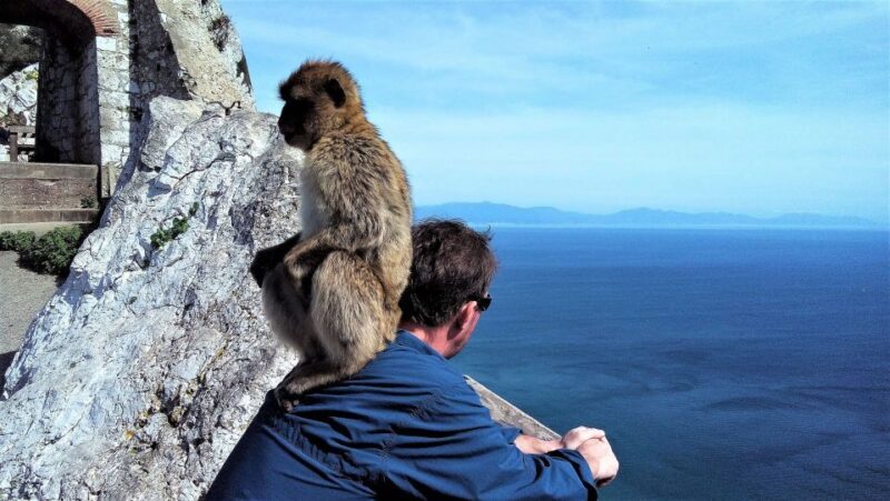 From Málaga or Marbella: Private Gibraltar Tour - The Experience in Practice: Real Traveler Insights