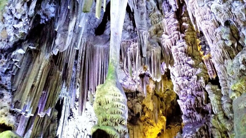 From Málaga or Marbella: Private Gibraltar Tour - Who This Tour Is Best For