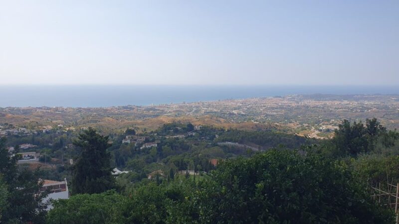 From Malaga: Private guided tour of Marbella, Mijas, Banús - The Sum Up