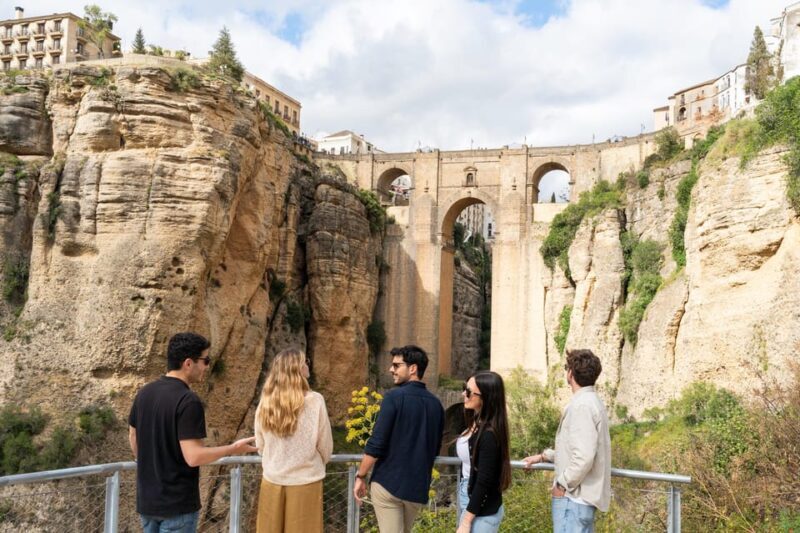 From Málaga: Ronda, Wine & Olive Oil Tasting Small Group - Who Will Enjoy This Tour?