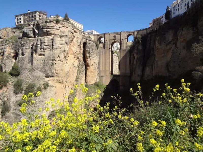 From Malaga: Ronda y Setenil de la Bodegas Day Trip by coach - Authenticity and Additional Insights