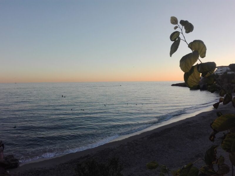 From Málaga: Skip-the-Line Nerja Cave and Frigiliana - Free Time in Nerja