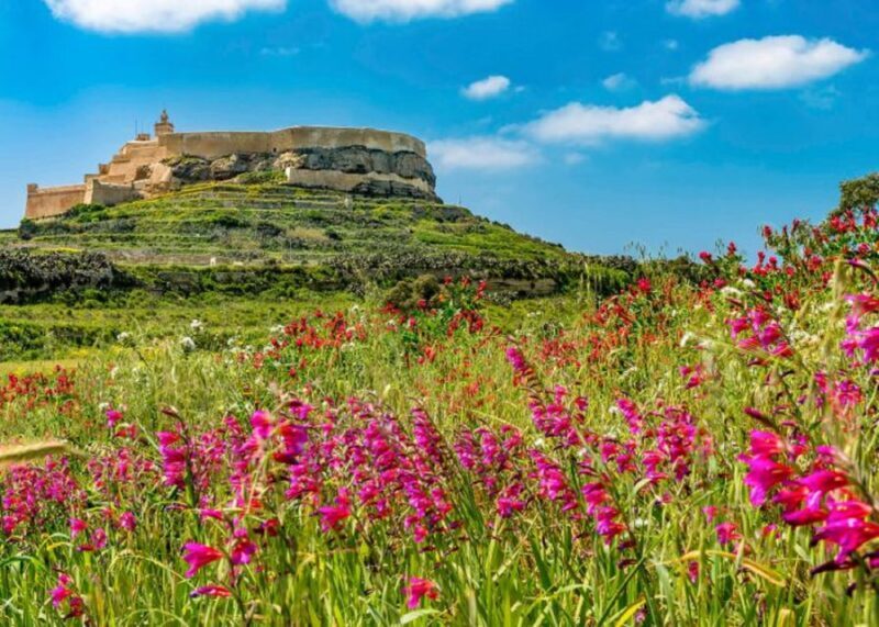 From Malta: Gozo Full-Day Tour with Guide, Temples, & Train - Key Points