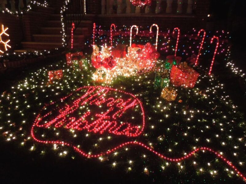 From Manhattan: 4-Hour Christmas Lights Luxury Bus Tour - The Sum Up: Who Will Love This Tour?