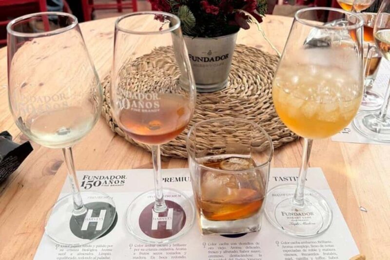 From Marbella: Cadiz and Jerez Private Daytrip - The Itinerary in Detail