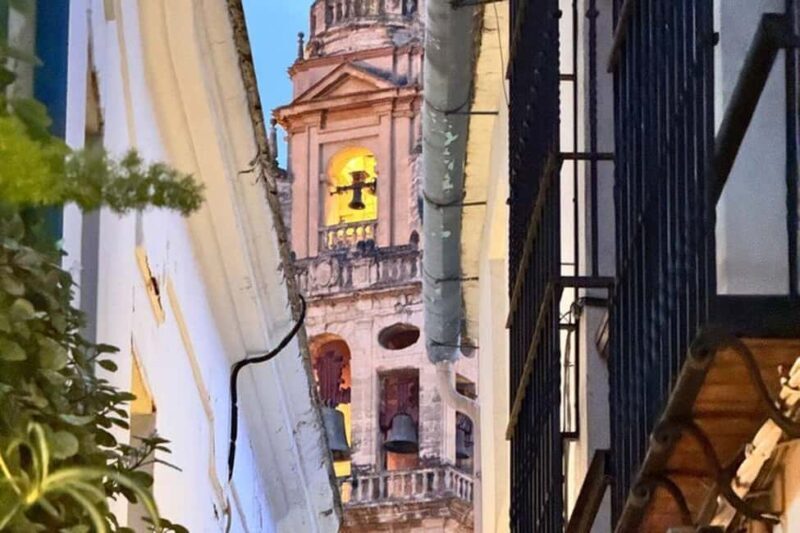 From Marbella: Cordoba Private Full-Day Trip - The Value Equation