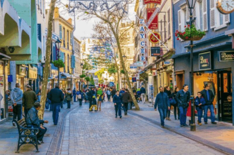 From Marbella: Gibraltar Private Day Trip with Local Guide - Who Would Love This Tour?