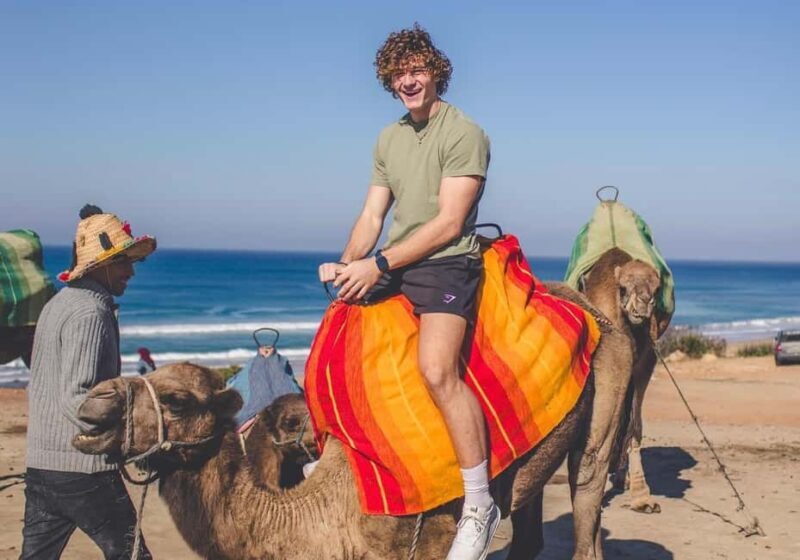 From Marbella: Tangier Day Trip with Ferry, Camel & Souks - An In-Depth Look at the Tour