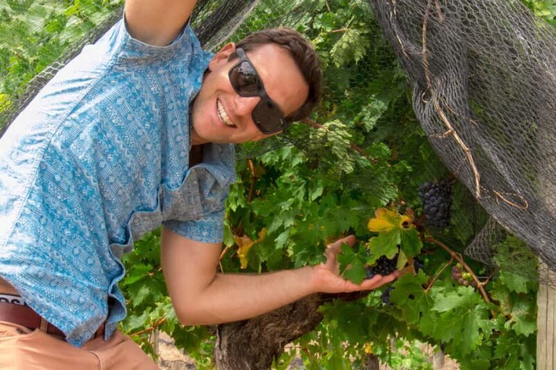 From Margaret River: Margaret River Wine Adventure - Key Points