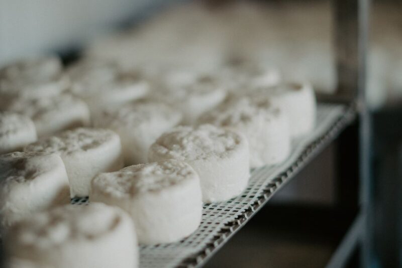 From Marseille: Aix en Provence Wine and Cheese Tour - Final Thoughts on Value and Suitability