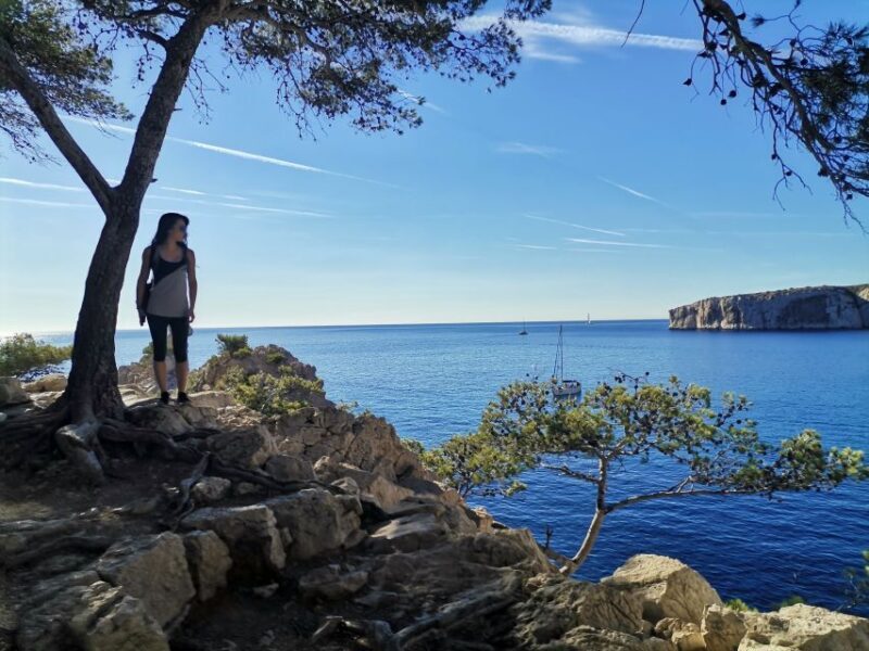 From Marseille: Calanques National Park Guided Hike - The Logistics: Practicalities and Value