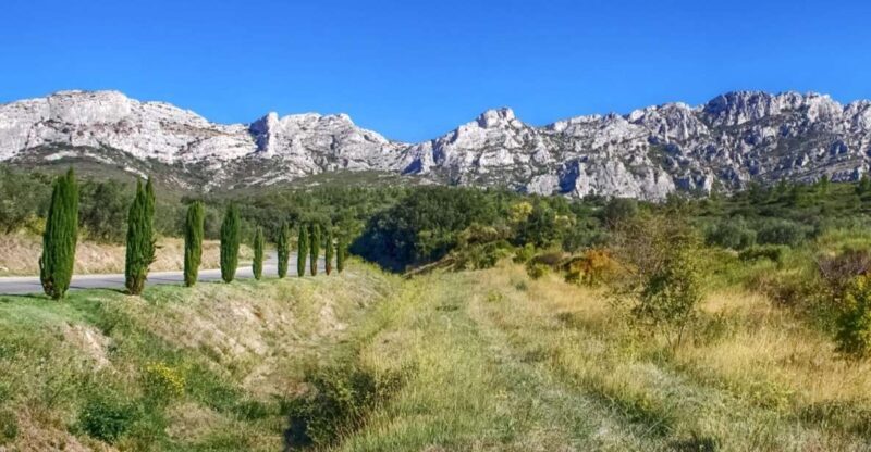 From Marseille: Full-Day Les Baux de Provence Wine Tour - Introduction