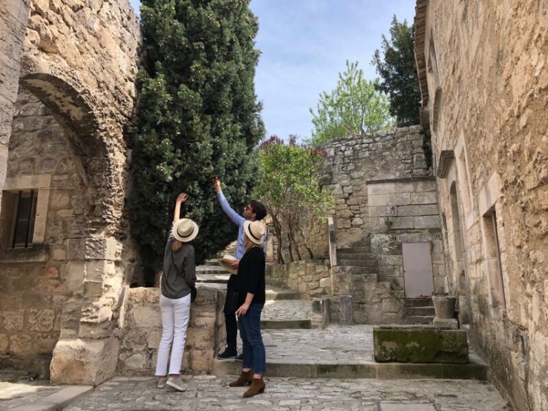 From Marseille: Provence Sightseeing Tour and Wine Tasting - Key Points