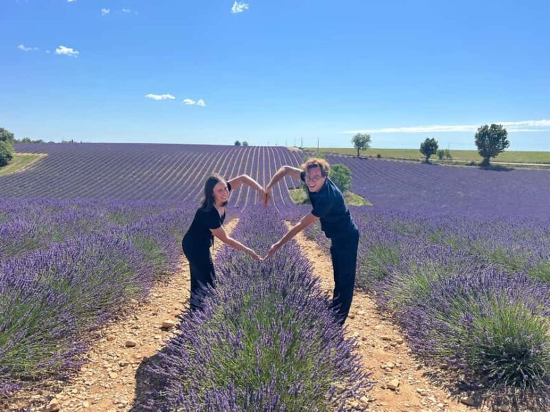 From Marseille: Valensole Lavenders Tour from Cruise Port - Admiring the Lavender at the Plateau de Valensole