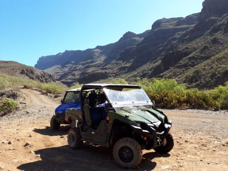 From Maspalomas: Volcanic Landscapes 4-Seater Buggy Tour - Authentic Insights from Reviewers
