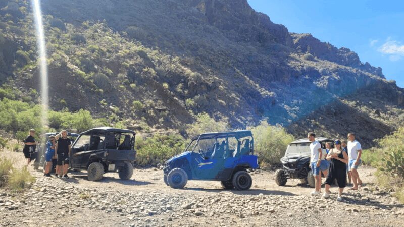 From Maspalomas: Volcanic Landscapes 4-Seater Buggy Tour - Who Should Consider This Tour?