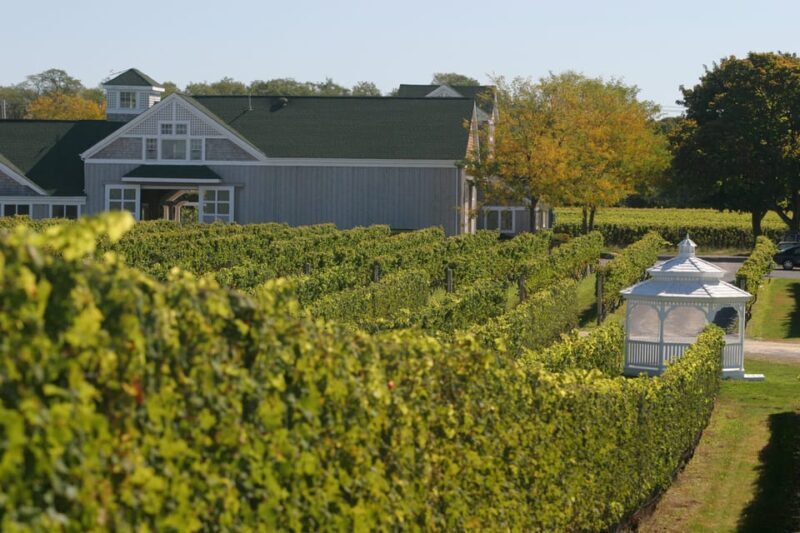 From Mattituck: Guided Brewery and Vineyard Tour by Bicycle - What to Expect Day of Tour