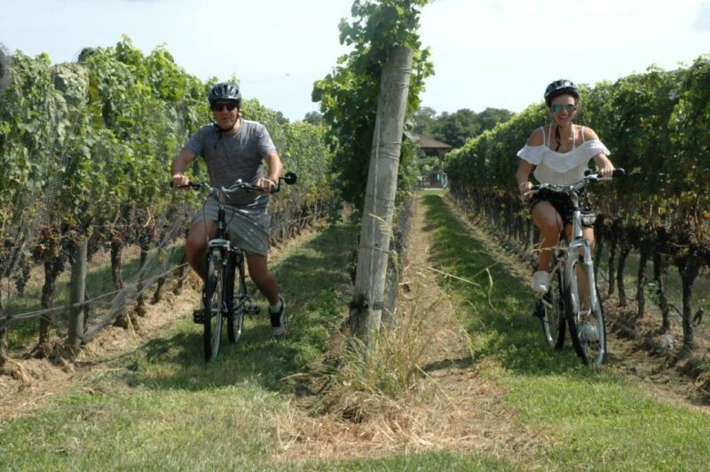 From Mattituck: North Fork Area Bike Tour with Food Tasting - Exploring the North Fork Bike Tour in Detail